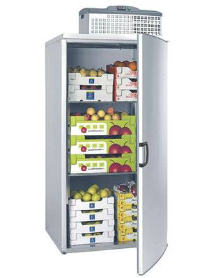 Isolierte Mini-Kühltasche mitTragegurt, 2,5 Liter - Ihr Elektronik-Versand  in der Schweiz